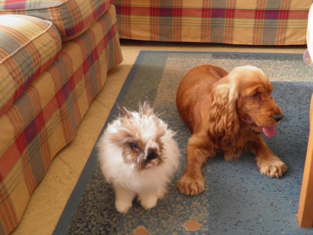 Nelly met konijn.jpg